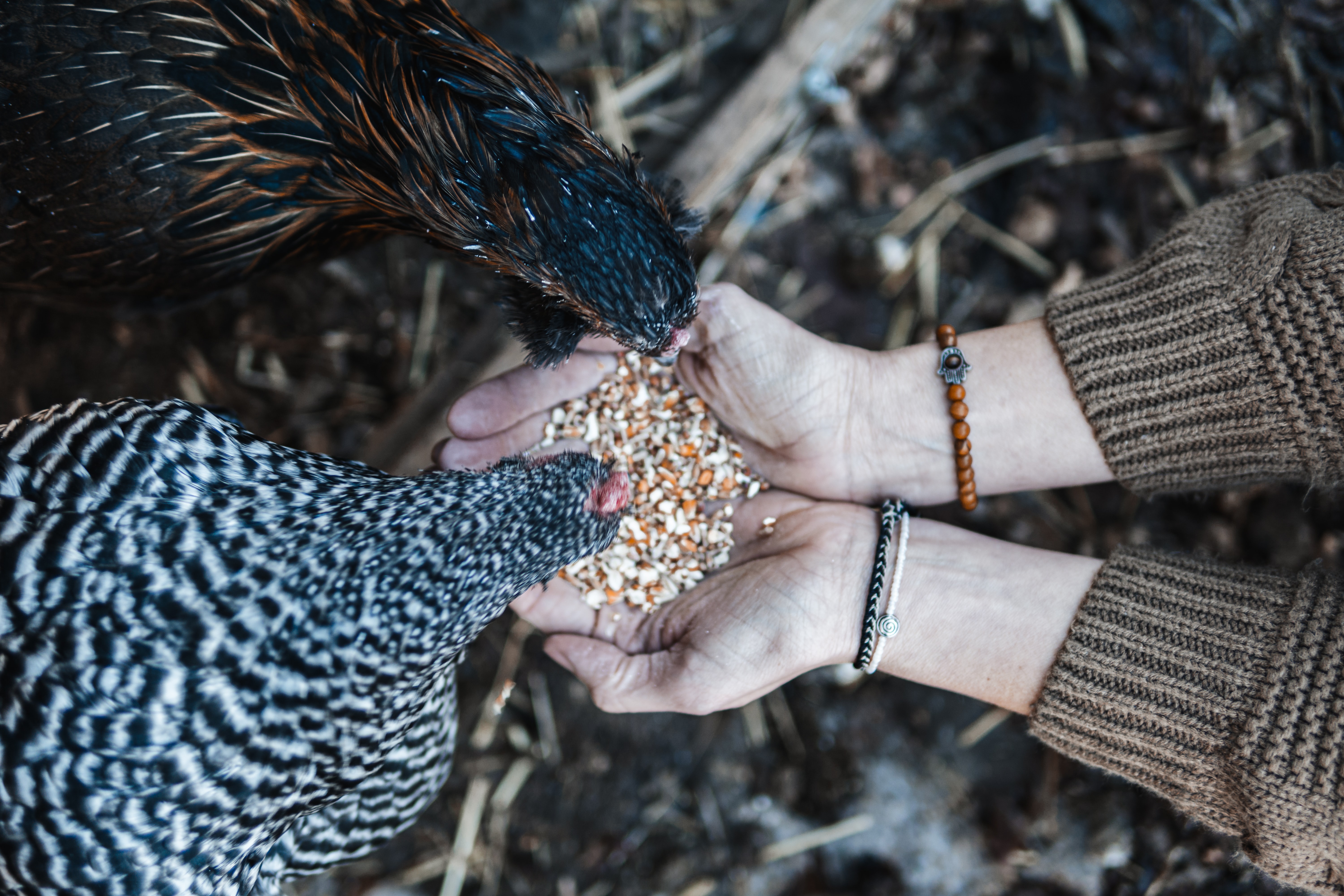 jasper-gribble-jAkSs2nnDhw-unsplash